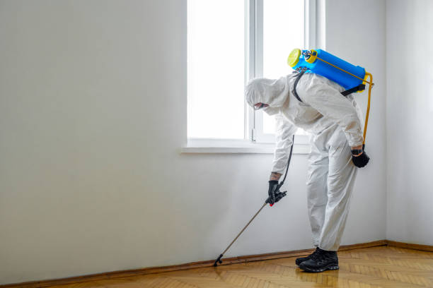 Best Ant Control Services  in Mantachie, MS