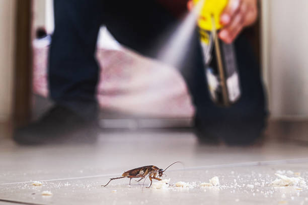 Best Affordable Pest Control Services  in Mantachie, MS