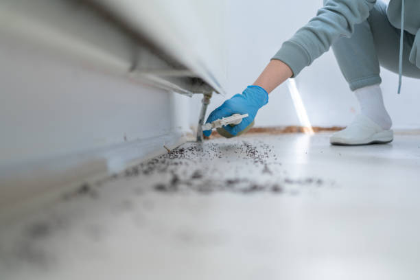 Best Exterminator Services  in Mantachie, MS